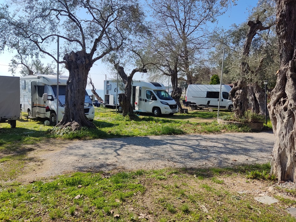 Photo of Hellas, a leading Camping & Caravan site in Kala Nera, Pelion